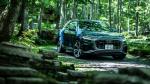 Audi Q8 55 TFSI Quattro S-Line 2019 года (JP)